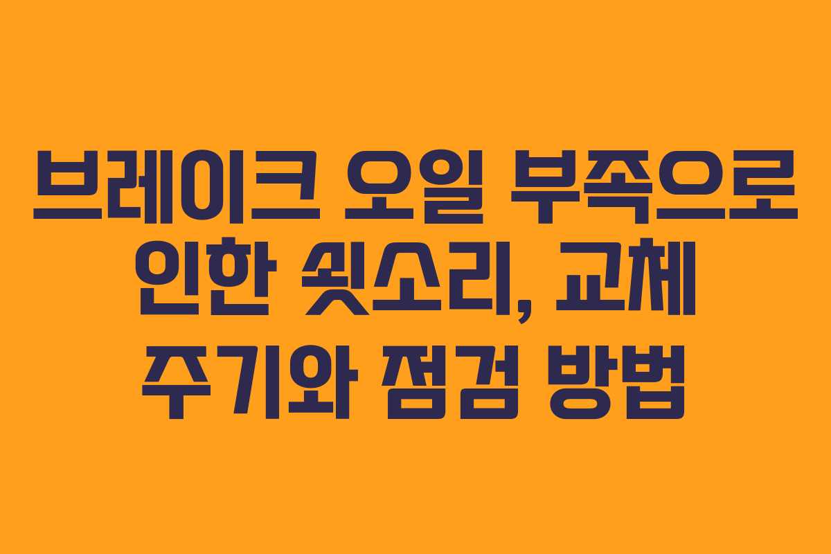 브레이크 오일 부족으로 인한 쇳소리, 교체 주기와 점검 방법