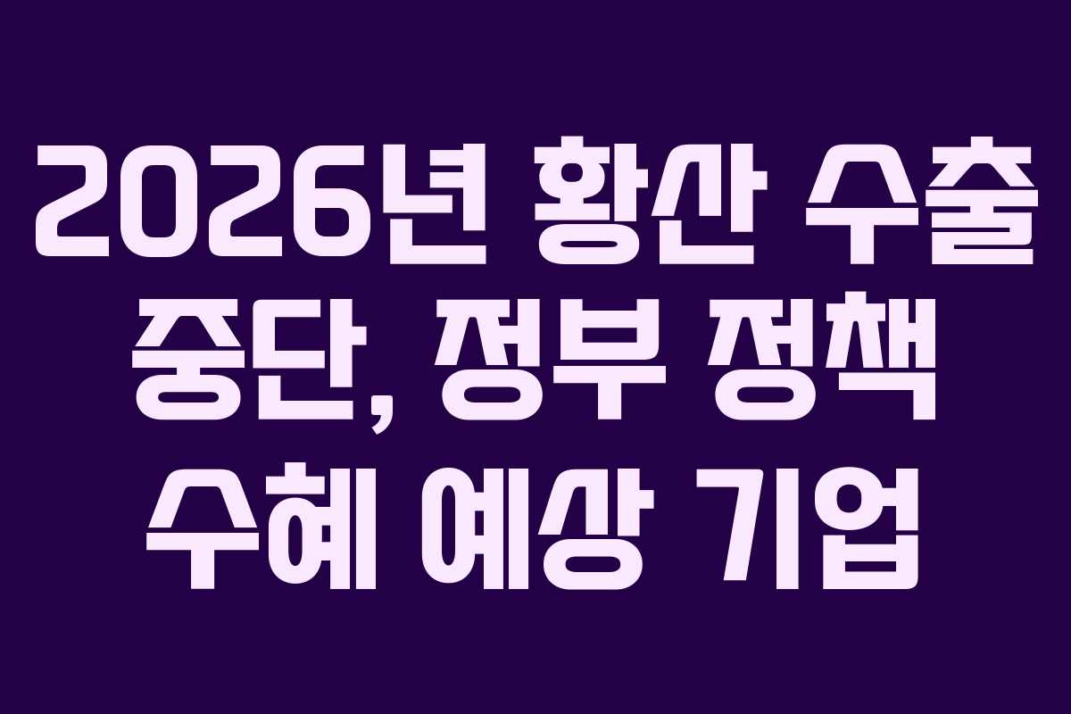 2026년 황산 수출 중단, 정부 정책 수혜 예상 기업