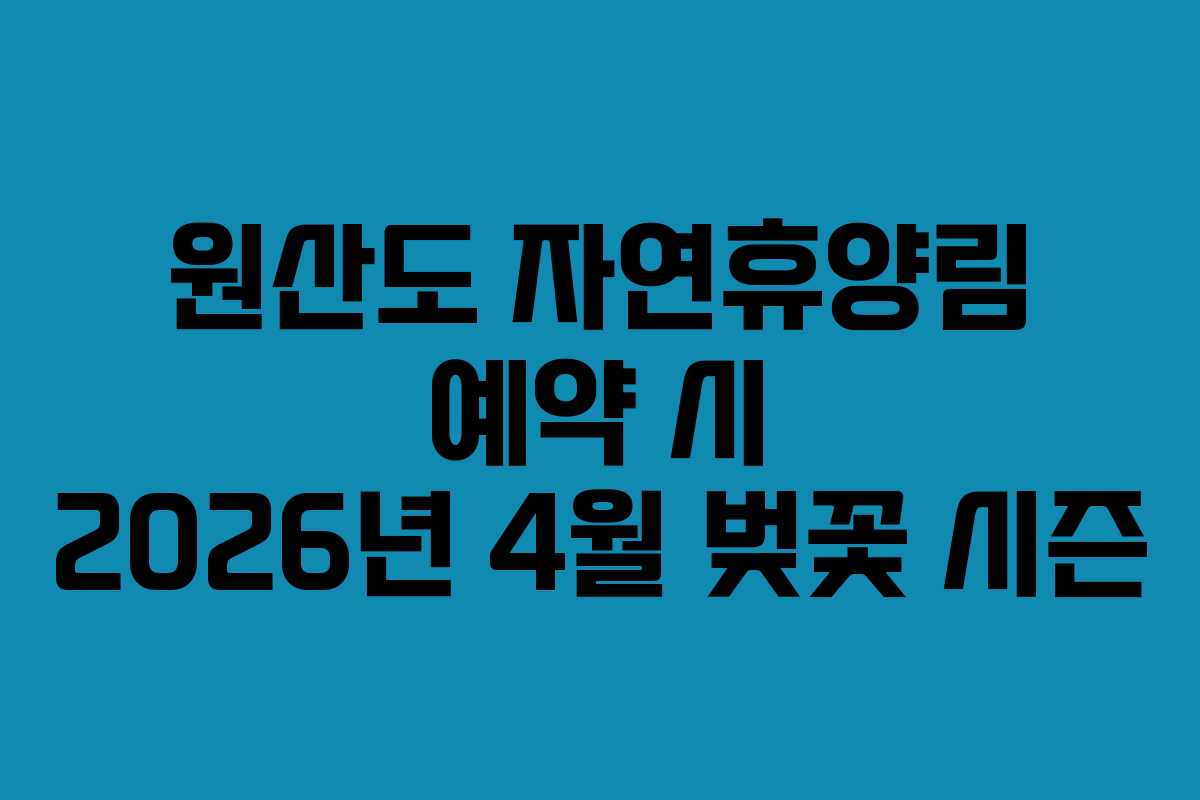 원산도 자연휴양림 예약 시 2026년 4월 벚꽃 시즌