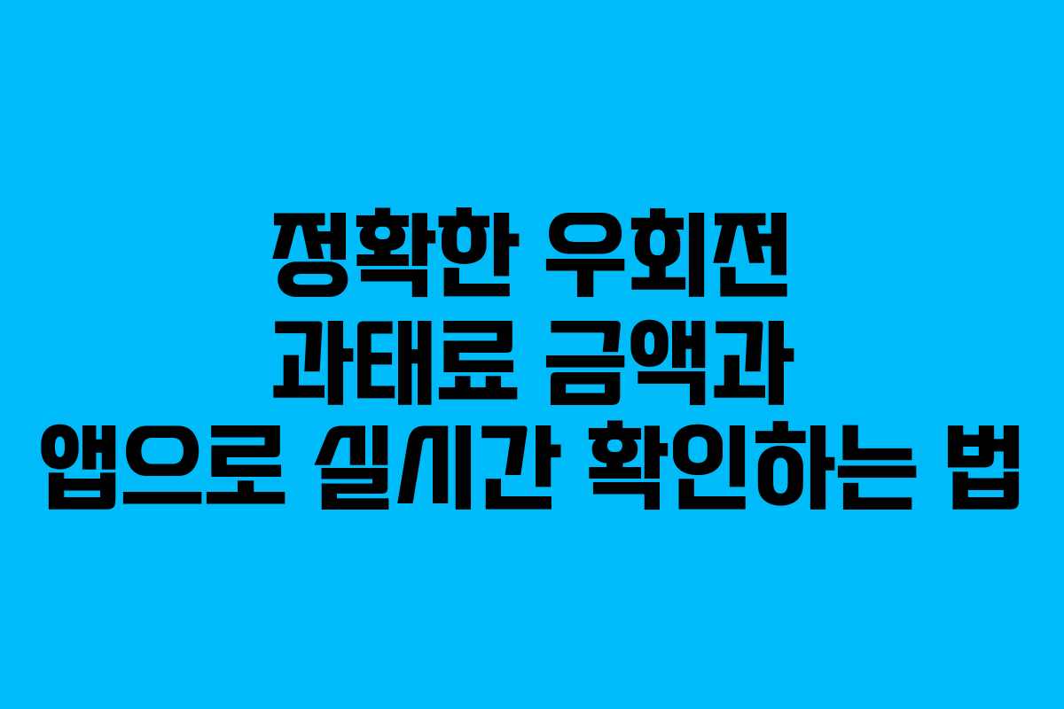 정확한 우회전 과태료 금액과 앱으로 실시간 확인하는 법