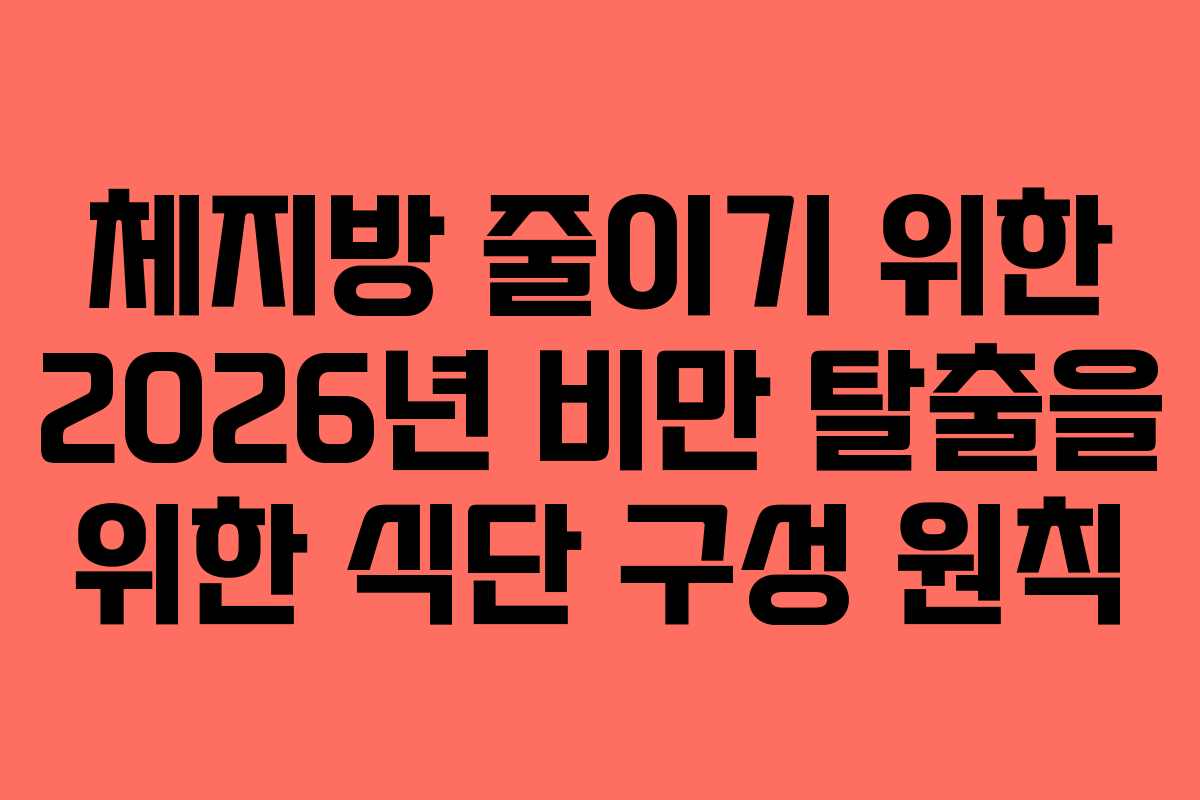 체지방 줄이기 위한 2026년 비만 탈출을 위한 식단 구성 원칙