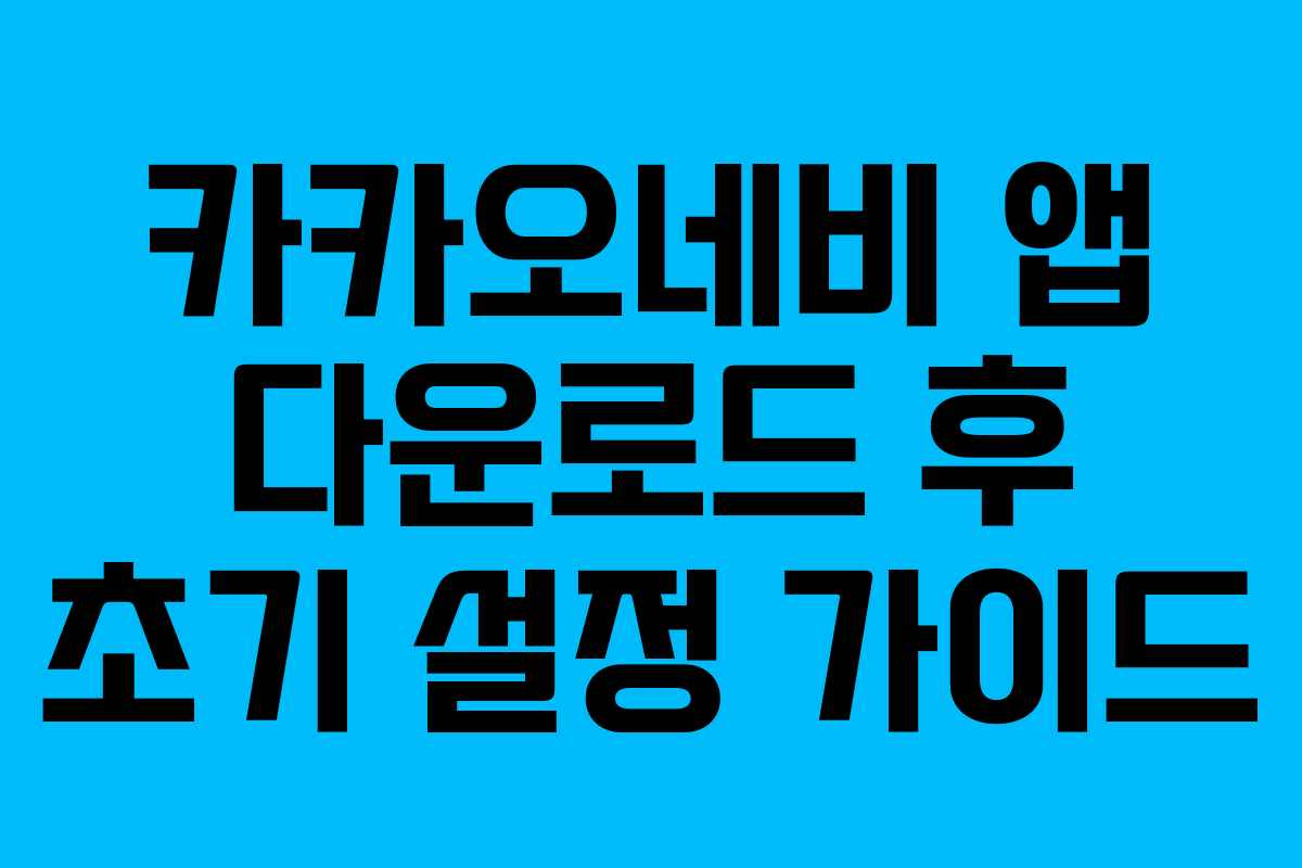 카카오네비 앱 다운로드 후 초기 설정 가이드
