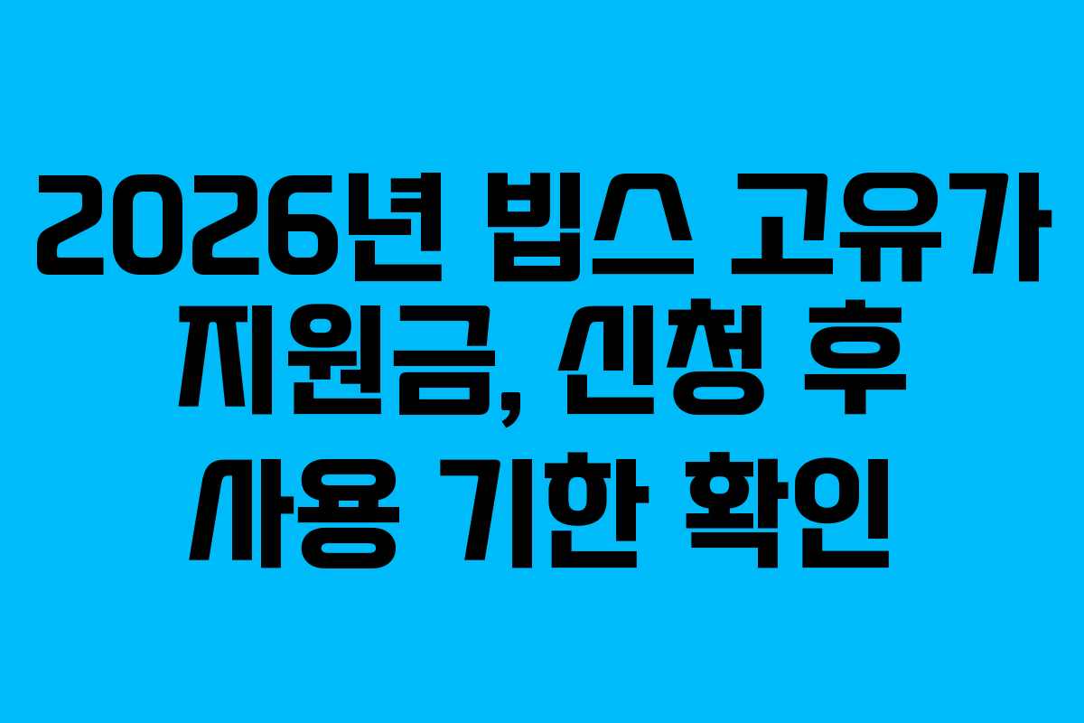 2026년 빕스 고유가 지원금, 신청 후 사용 기한 확인