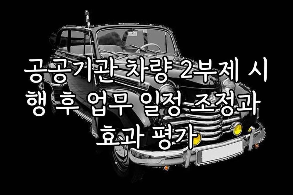 공공기관 차량 2부제 시행 후 업무 일정 조정과 효과 평가