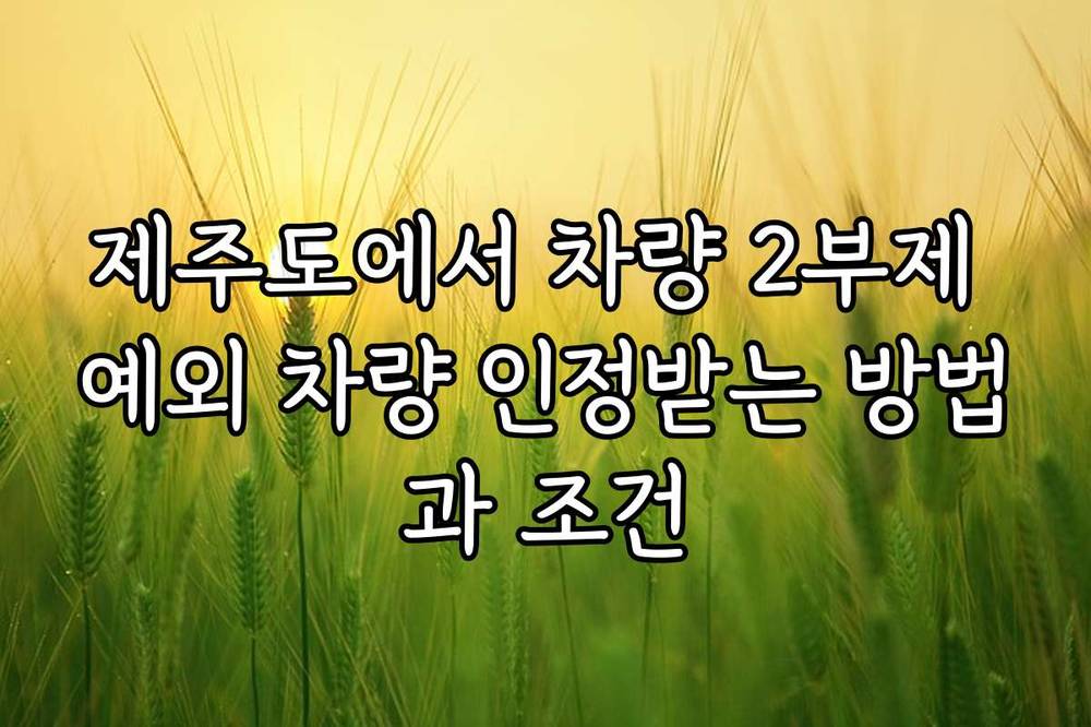 제주도에서 차량 2부제 예외 차량 인정받는 방법과 조건
