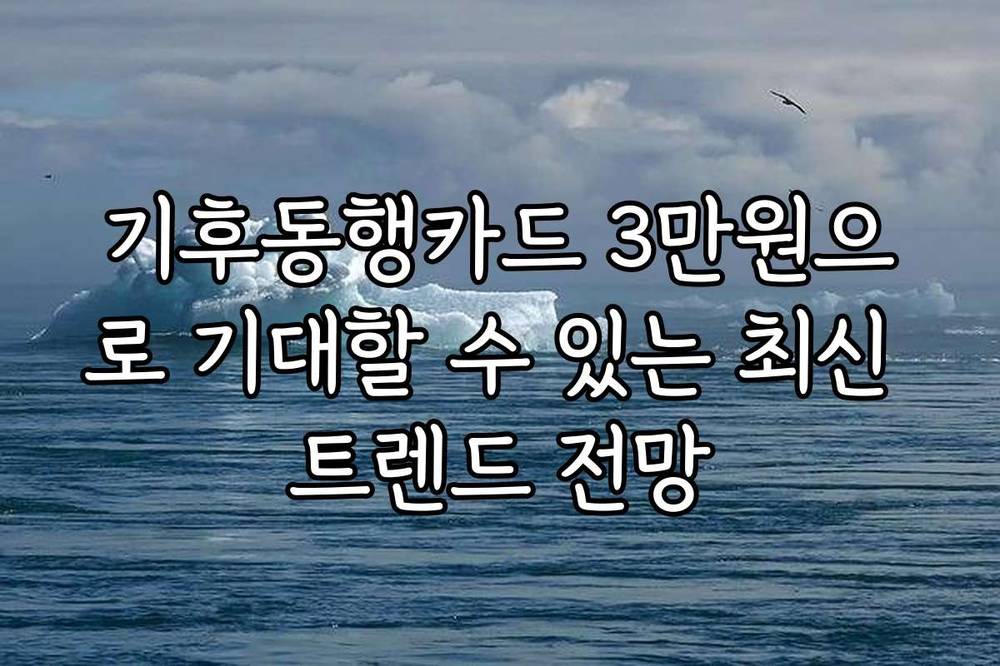 기후동행카드 3만원으로 기대할 수 있는 최신 트렌드 전망