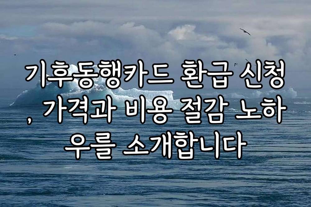 기후동행카드 환급 신청, 가격과 비용 절감 노하우를 소개합니다