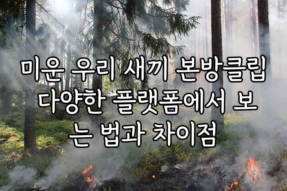 미운 우리 새끼 본방클립 다양한 플랫폼에서 보는 법과 차이점