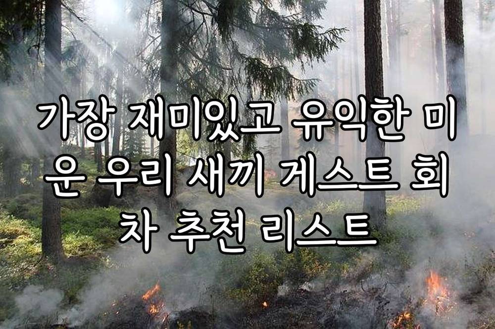 가장 재미있고 유익한 미운 우리 새끼 게스트 회차 추천 리스트