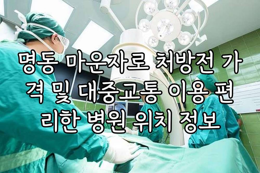 명동 마운자로 처방전 가격 및 대중교통 이용 편리한 병원 위치 정보