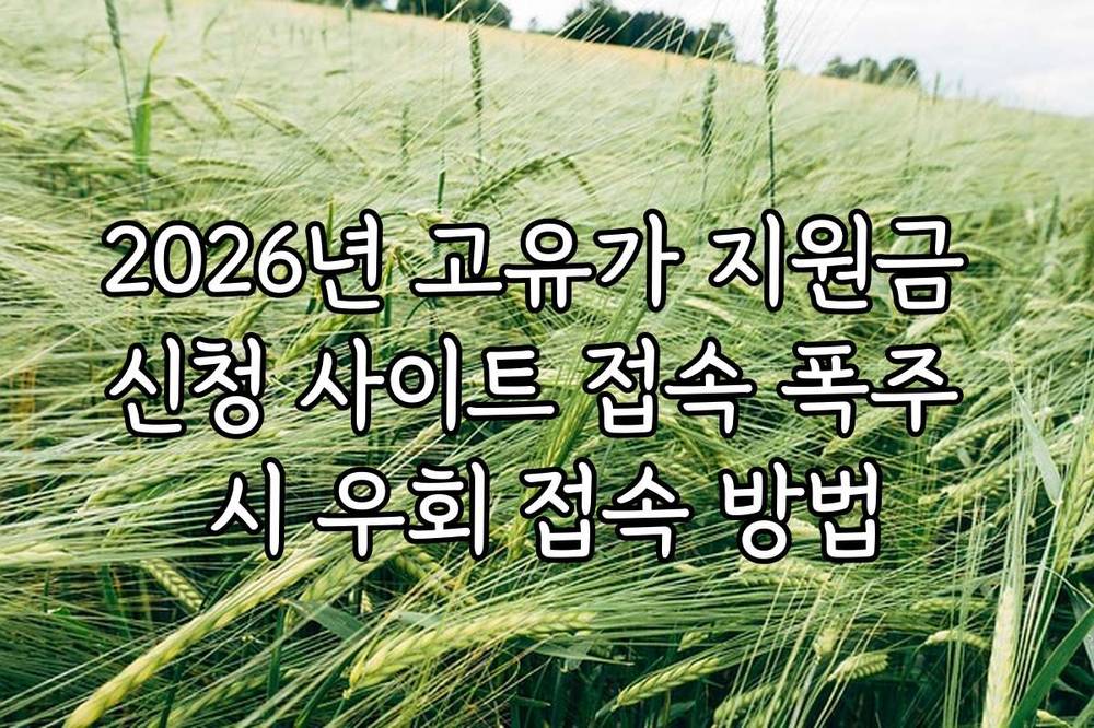 2026년 고유가 지원금 신청 사이트 접속 폭주 시 우회 접속 방법