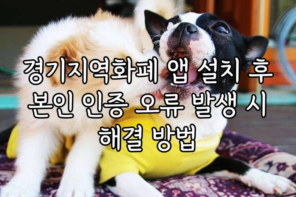 경기지역화폐 앱 설치 후 본인 인증 오류 발생 시 해결 방법