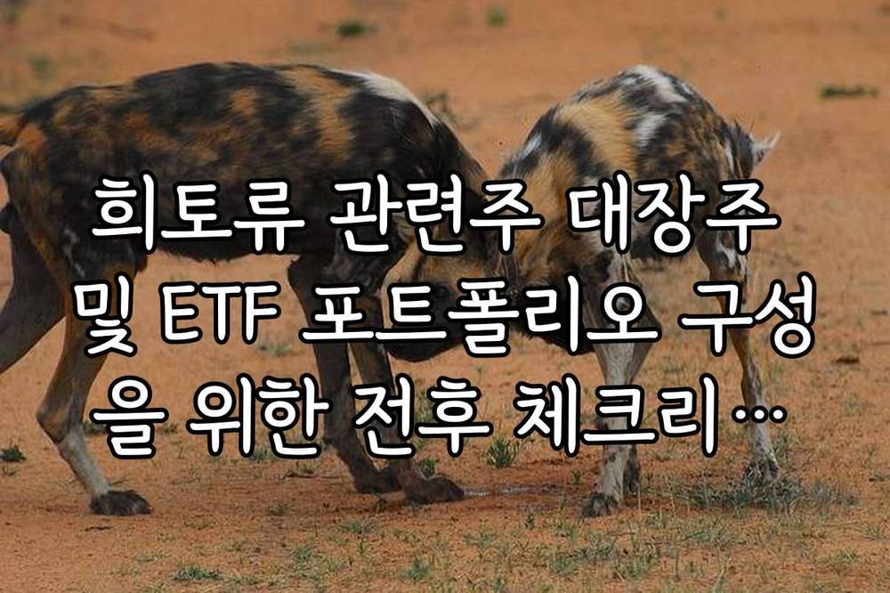 희토류 관련주 대장주 및 ETF 포트폴리오 구성을 위한 전후 체크리스트 정리