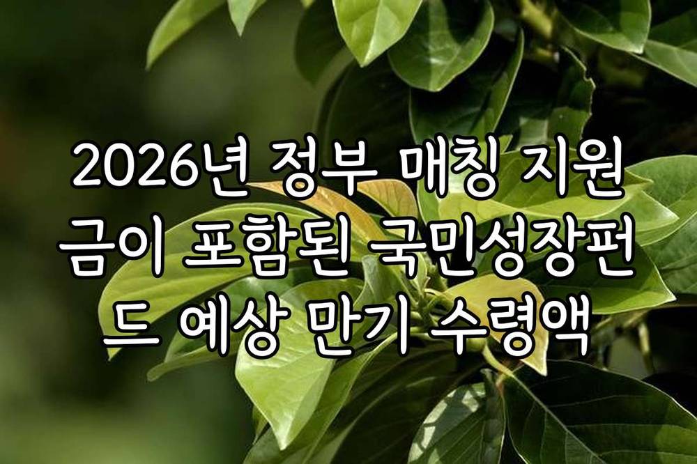2026년 정부 매칭 지원금이 포함된 국민성장펀드 예상 만기 수령액