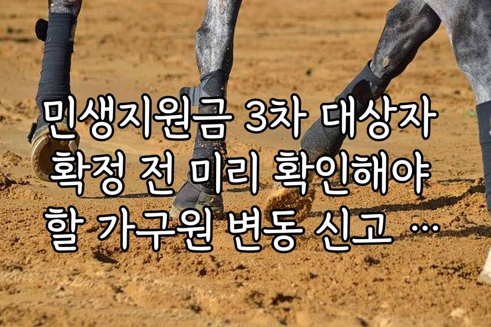 민생지원금 3차 대상자 확정 전 미리 확인해야 할 가구원 변동 신고 가이드