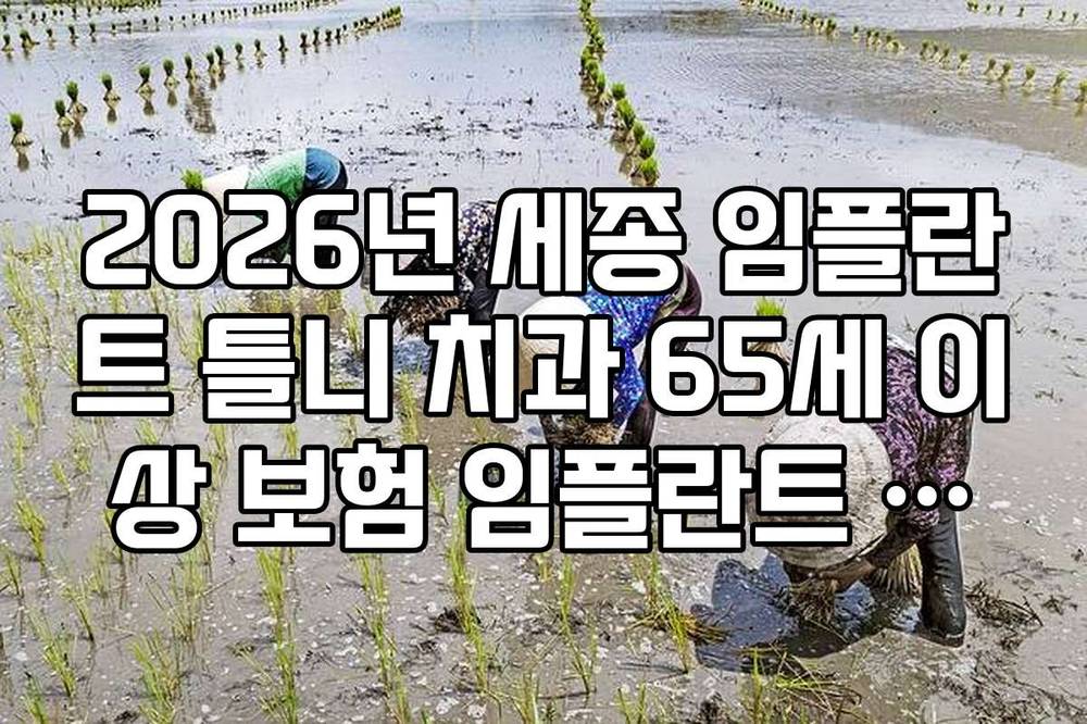 2026년 세종 임플란트 틀니 치과 65세 이상 보험 임플란트 지원금 확인