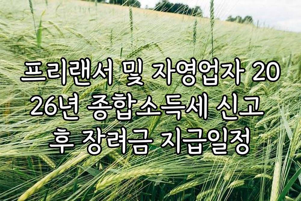 프리랜서 및 자영업자 2026년 종합소득세 신고 후 장려금 지급일정