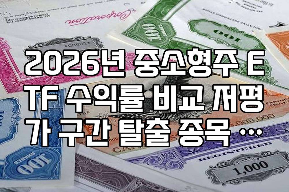 2026년 중소형주 ETF 수익률 비교 저평가 구간 탈출 종목 발굴 팁