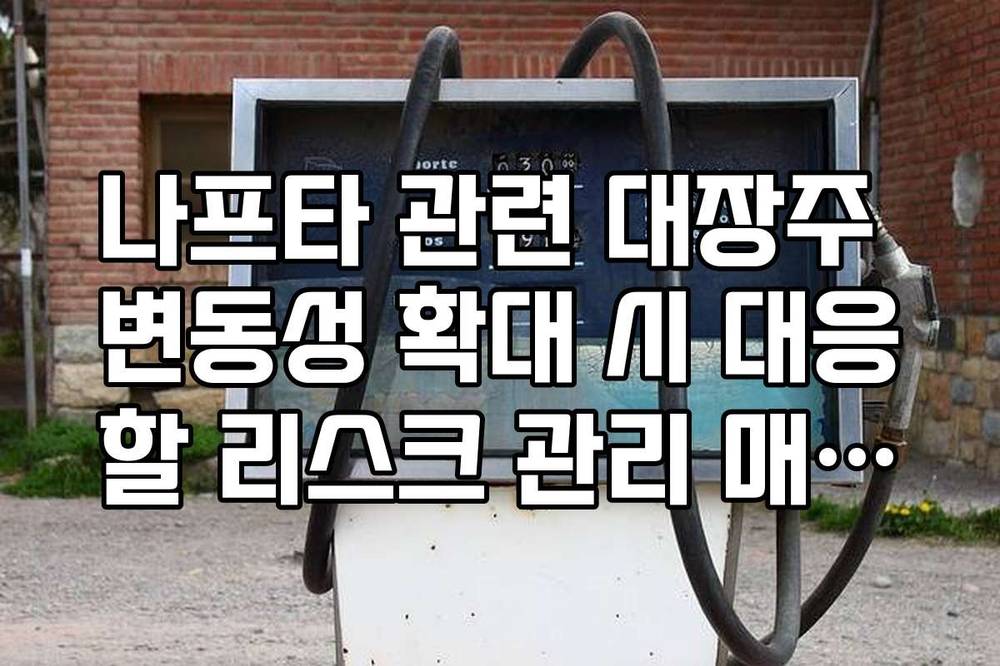 나프타 관련 대장주 변동성 확대 시 대응할 리스크 관리 매뉴얼