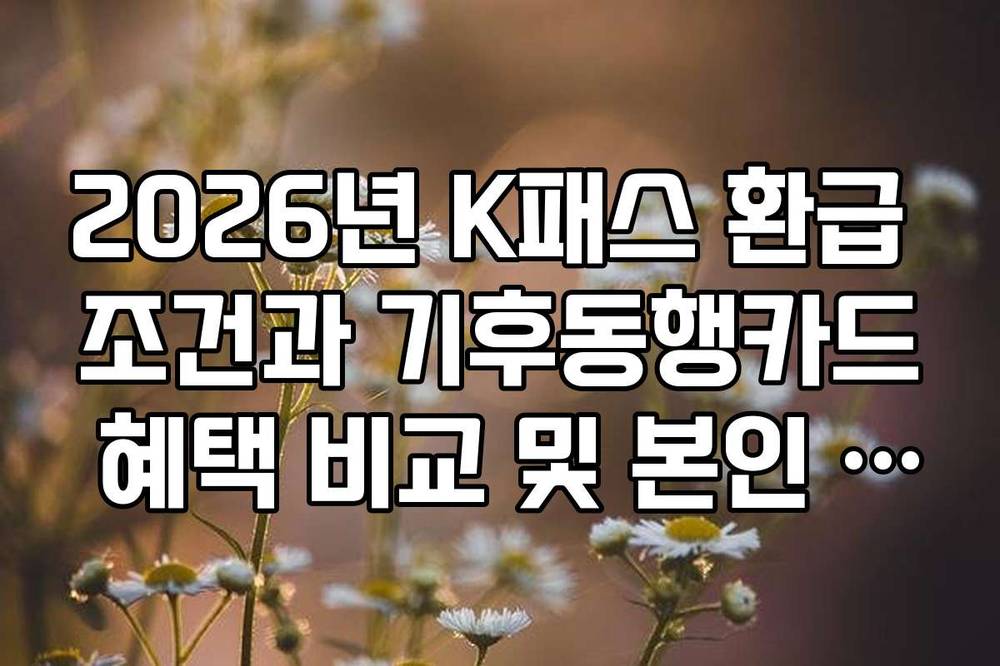 2026년 K패스 환급 조건과 기후동행카드 혜택 비교 및 본인 적합도 체크