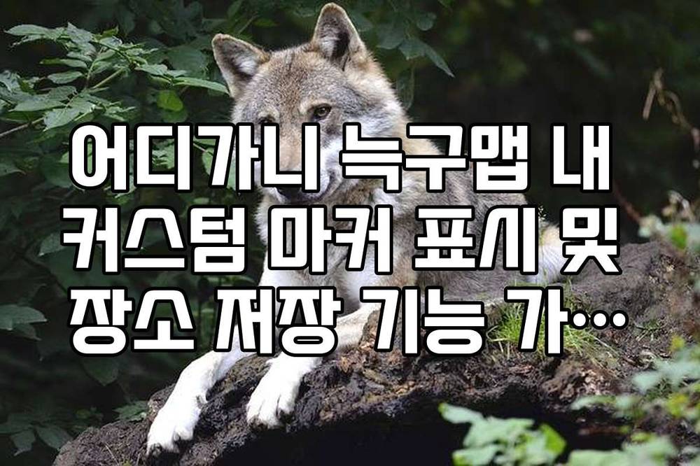 어디가니 늑구맵 내 커스텀 마커 표시 및 장소 저장 기능 가이드