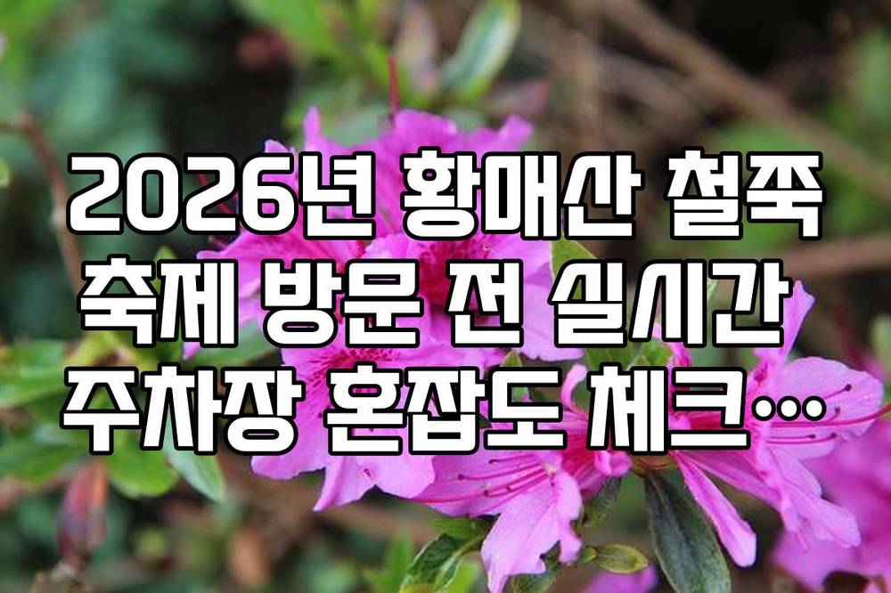 2026년 황매산 철쭉축제 방문 전 실시간 주차장 혼잡도 체크 방법