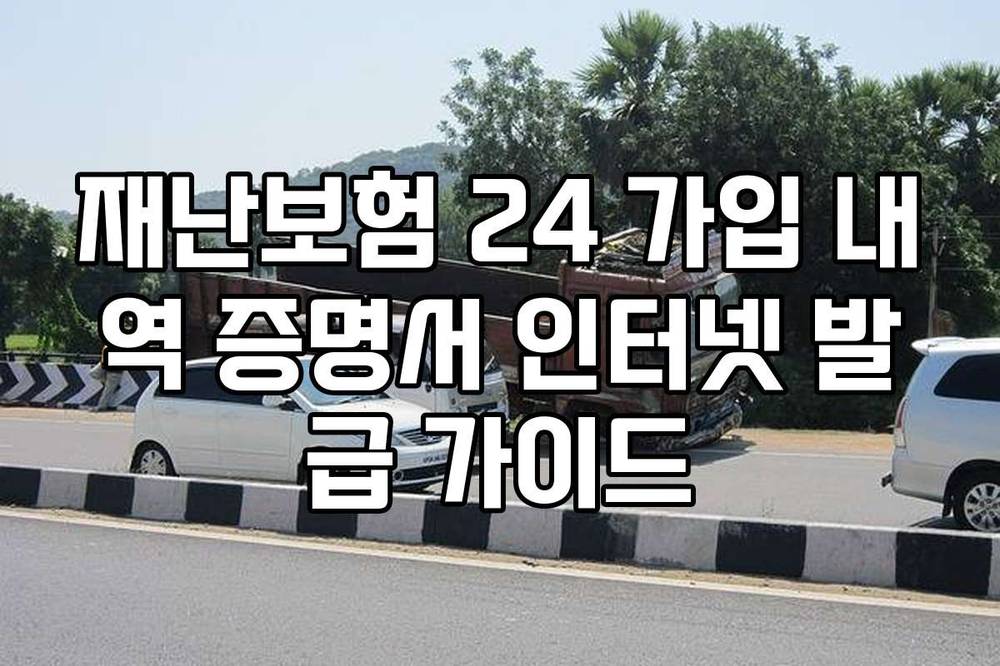 재난보험 24 가입 내역 증명서 인터넷 발급 가이드