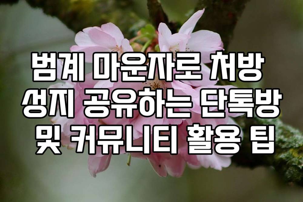 범계 마운자로 처방 성지 공유하는 단톡방 및 커뮤니티 활용 팁