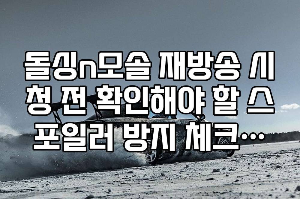 돌싱n모솔 재방송 시청 전 확인해야 할 스포일러 방지 체크리스트