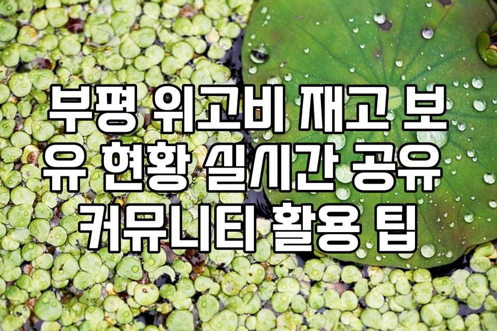 부평 위고비 재고 보유 현황 실시간 공유 커뮤니티 활용 팁