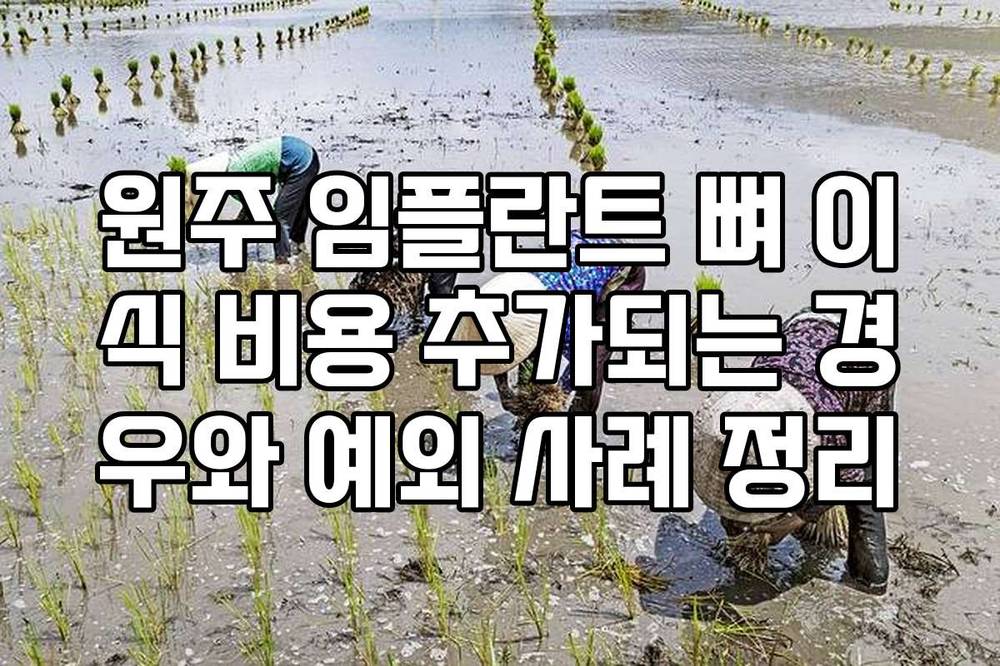 원주 임플란트 뼈 이식 비용 추가되는 경우와 예외 사례 정리