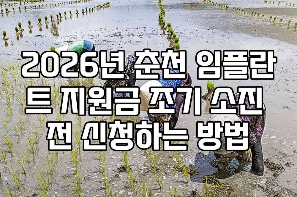 2026년 춘천 임플란트 지원금 조기 소진 전 신청하는 방법