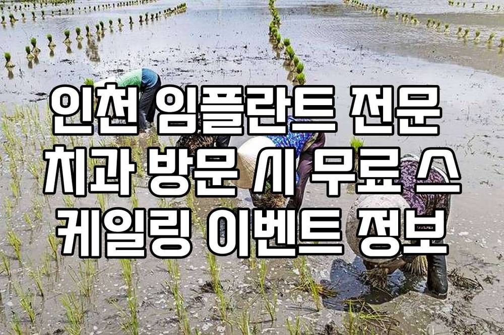 인천 임플란트 전문 치과 방문 시 무료 스케일링 이벤트 정보