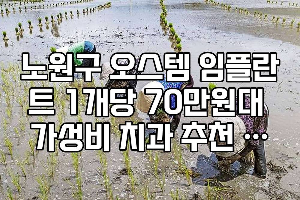 노원구 오스템 임플란트 1개당 70만원대 가성비 치과 추천 리스트