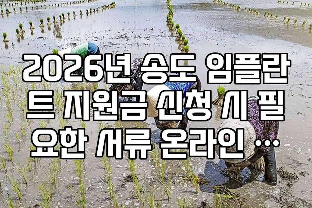 2026년 송도 임플란트 지원금 신청 시 필요한 서류 온라인 발급법