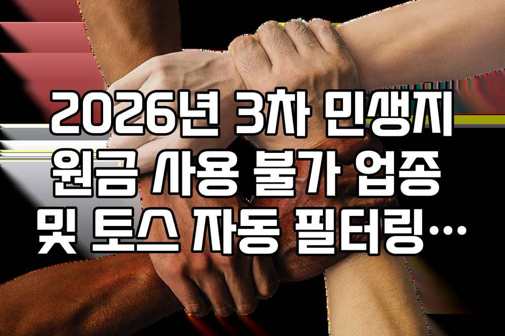 2026년 3차 민생지원금 사용 불가 업종 및 토스 자동 필터링 기능
