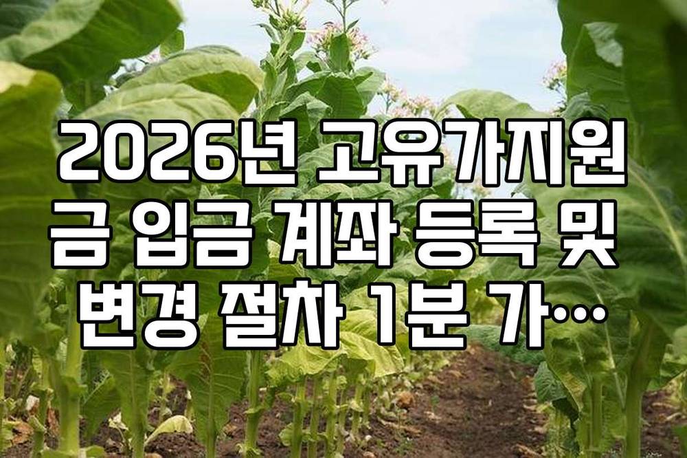 2026년 고유가지원금 입금 계좌 등록 및 변경 절차 1분 가이드