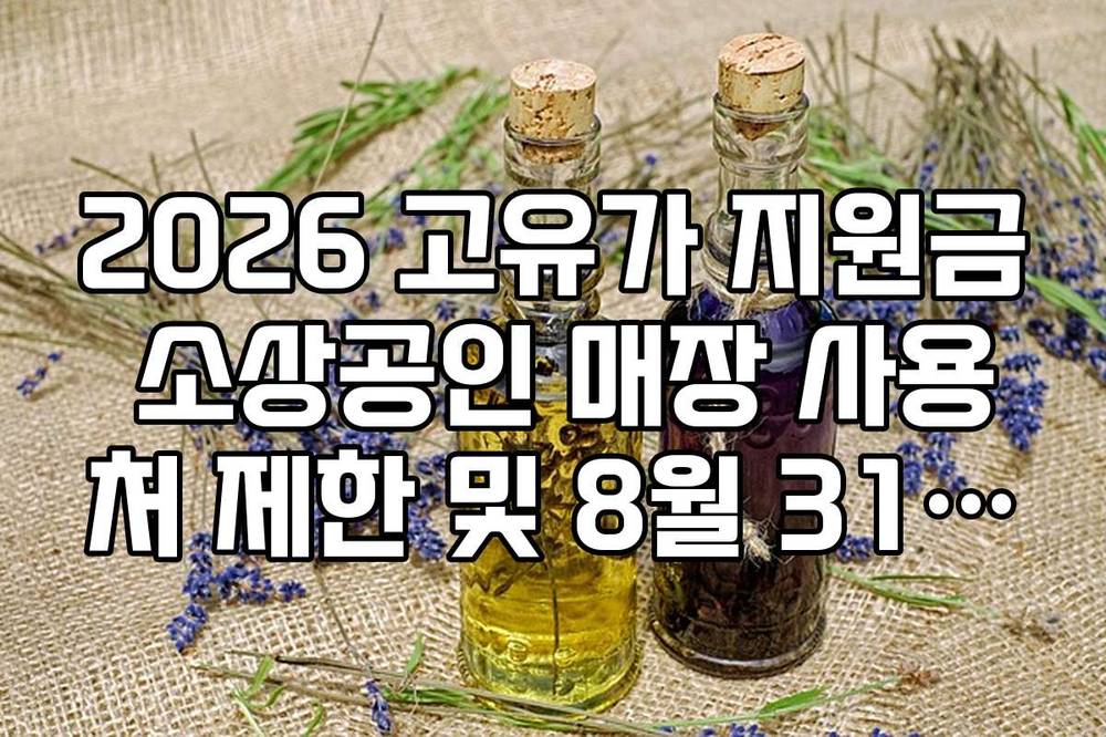 2026 고유가 지원금 소상공인 매장 사용처 제한 및 8월 31일 사용 기한
