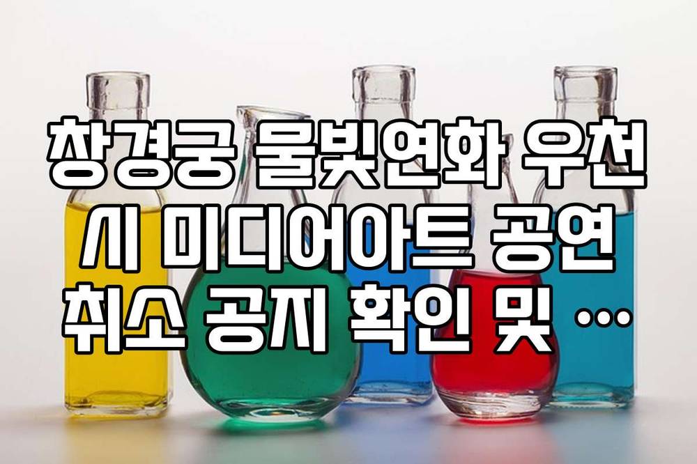 창경궁 물빛연화 우천 시 미디어아트 공연 취소 공지 확인 및 대처 방법