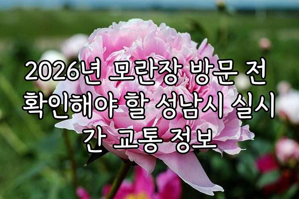 2026년 모란장 방문 전 확인해야 할 성남시 실시간 교통 정보