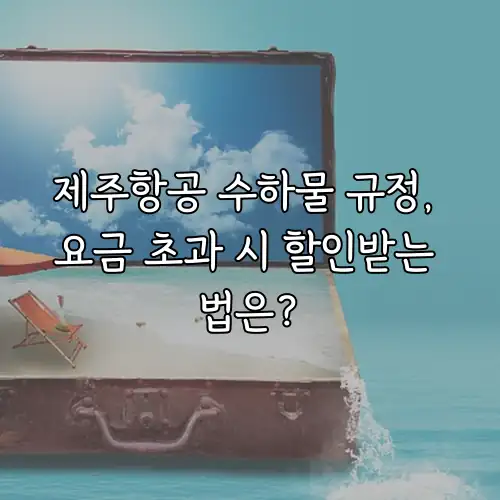제주항공 수하물 규정, 요금 초과 시 할인받는 법은?