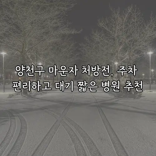 양천구 마운자 처방전, 주차 편리하고 대기 짧은 병원 추천