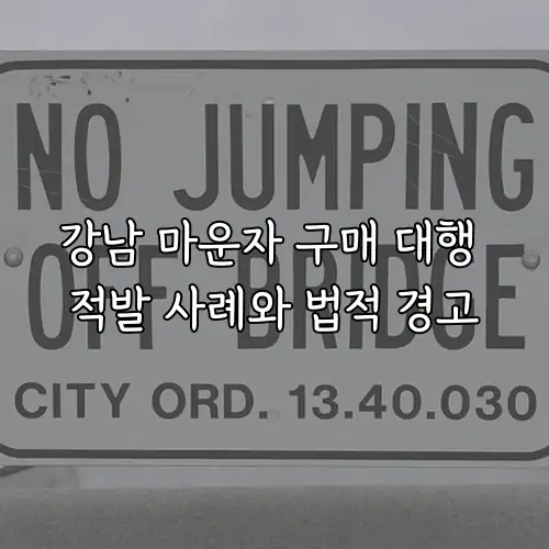 강남 마운자 구매 대행 적발 사례와 법적 경고