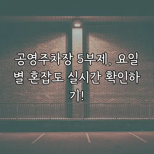 공영주차장 5부제, 요일별 혼잡도 실시간 확인하기!
