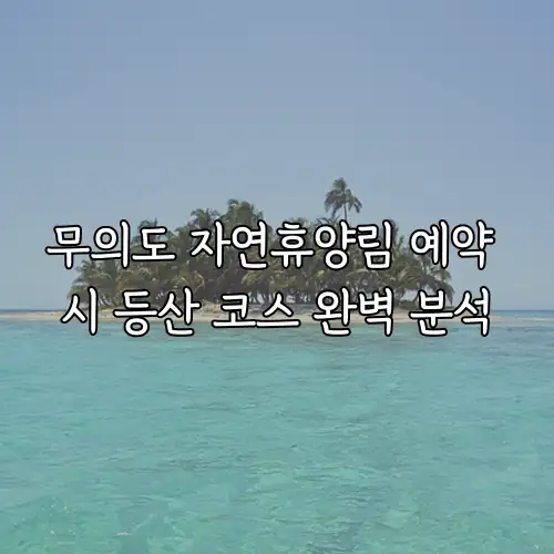 무의도 자연휴양림 예약 시 등산 코스 완벽 분석