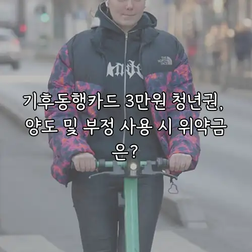기후동행카드 3만원 청년권, 양도 및 부정 사용 시 위약금은?