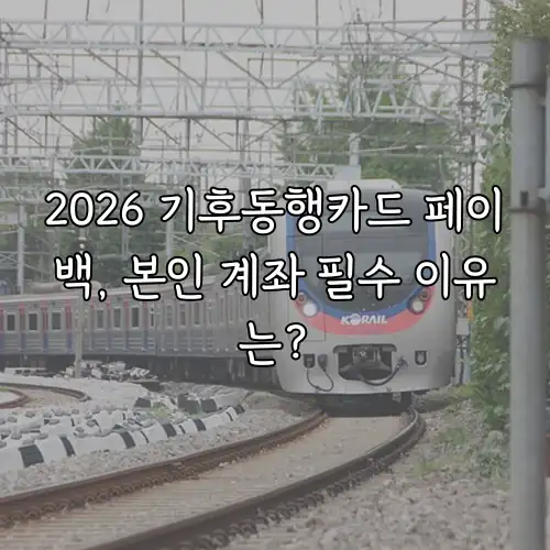 2026 기후동행카드 페이백, 본인 계좌 필수 이유는?