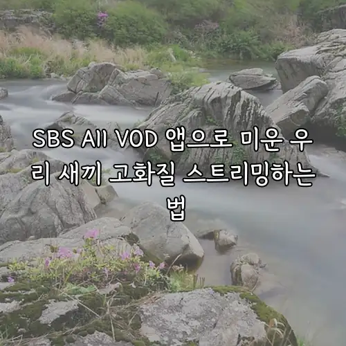 SBS All VOD 앱으로 미운 우리 새끼 고화질 스트리밍하는 법