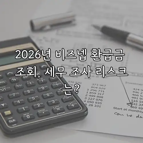 2026년 비즈넵 환급금 조회, 세무 조사 리스크는?
