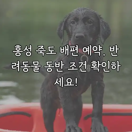 홍성 죽도 배편 예약, 반려동물 동반 조건 확인하세요!